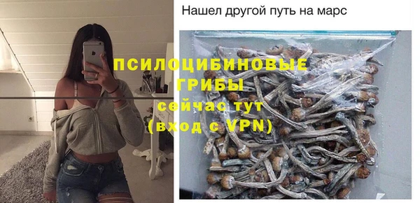 амф Краснослободск