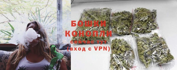 PSILOCYBIN Красноперекопск
