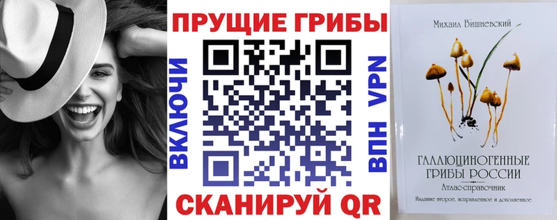 Галлюциногенные грибы Psilocybe  Одинцово 